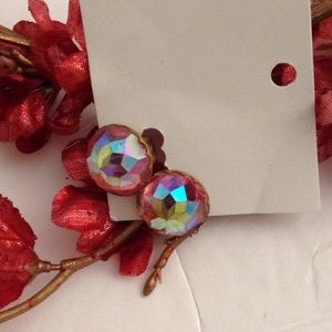 Signed Vintage CORO Borealis Round Clip On Earrings